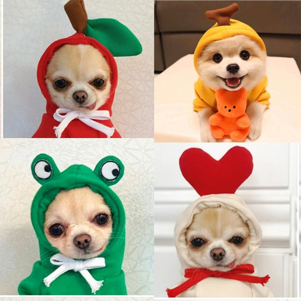 Pet Hoodies