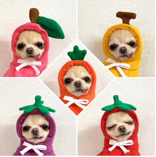 Pet Hoodies